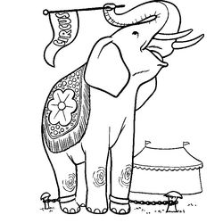 Elefante #3839