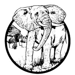 Elefante #3842