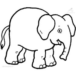 Elefante #3848