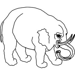 Elefante #3849