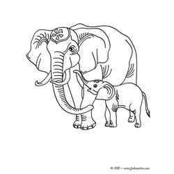 Elefante #3855