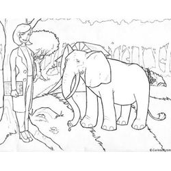 Elefante #3860