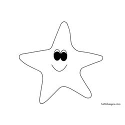 Estrella de mar #3979