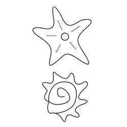 Estrella de mar #3993