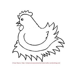 Gallina #4007