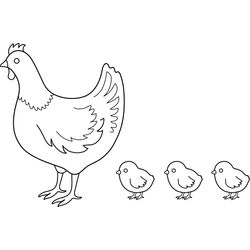 Gallina #4009