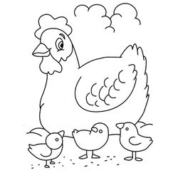Gallina #4015