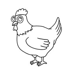 Gallina #4016