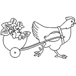 Gallina #4017
