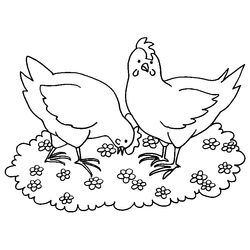 Gallina #4018