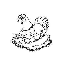 Gallina #4027