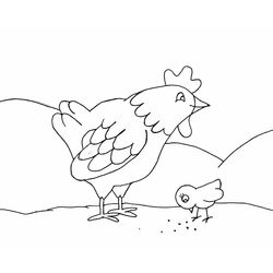 Gallina #4045