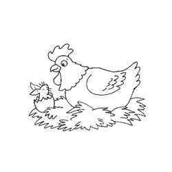 Gallina #4050