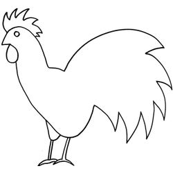 Gallina #4055