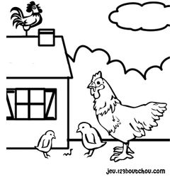 Gallina #4064