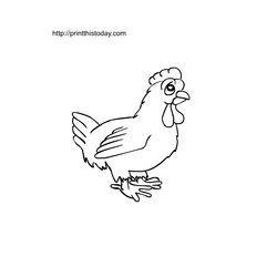 Gallina #4066
