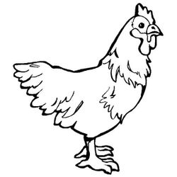 Gallina #4083
