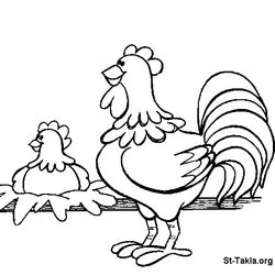 Gallina #4086