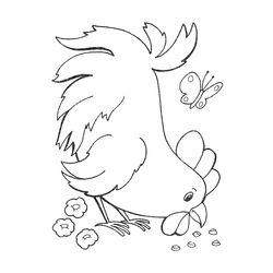 Gallina #4095