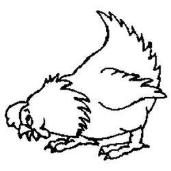Gallina #4101