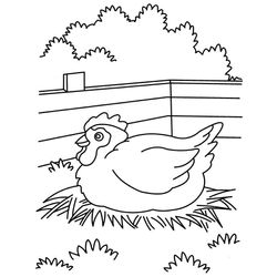 Gallina #4120