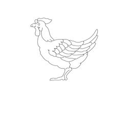 Gallina #4125