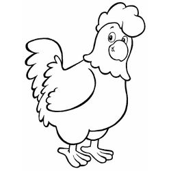 Gallo #4138