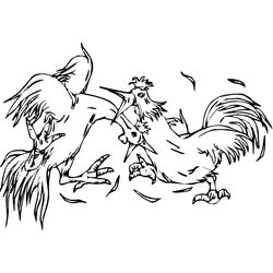 Gallo #4143
