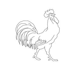 Gallo #4145