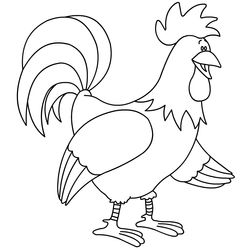 Gallo #4147