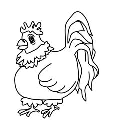 Gallo #4152