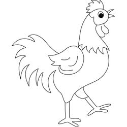 Gallo #4155