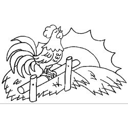 Gallo #4157