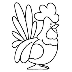 Gallo #4158