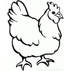Gallo #4159