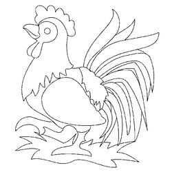 Gallo #4160