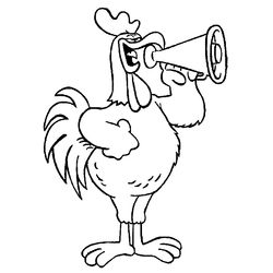 Gallo #4164