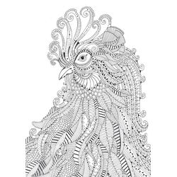 Gallo #4167
