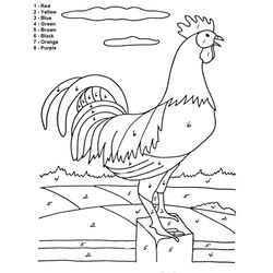 Gallo #4171