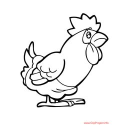 Gallo #4172