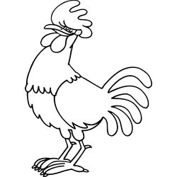 Gallo #4173