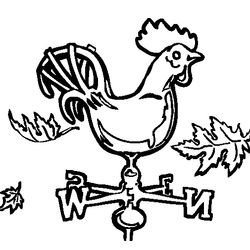 Gallo #4176