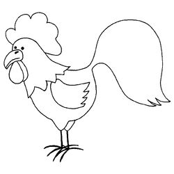 Gallo #4177