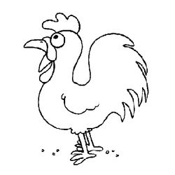 Gallo #4183