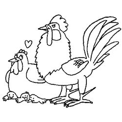Gallo #4184