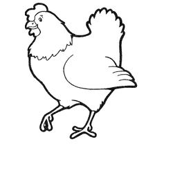 Gallo #4186