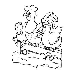 Gallo #4188