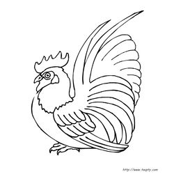 Gallo #4193