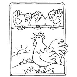 Gallo #4195