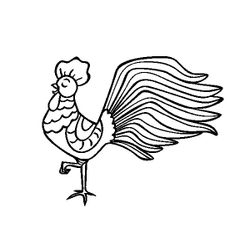 Gallo #4213